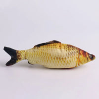 Crucian carp