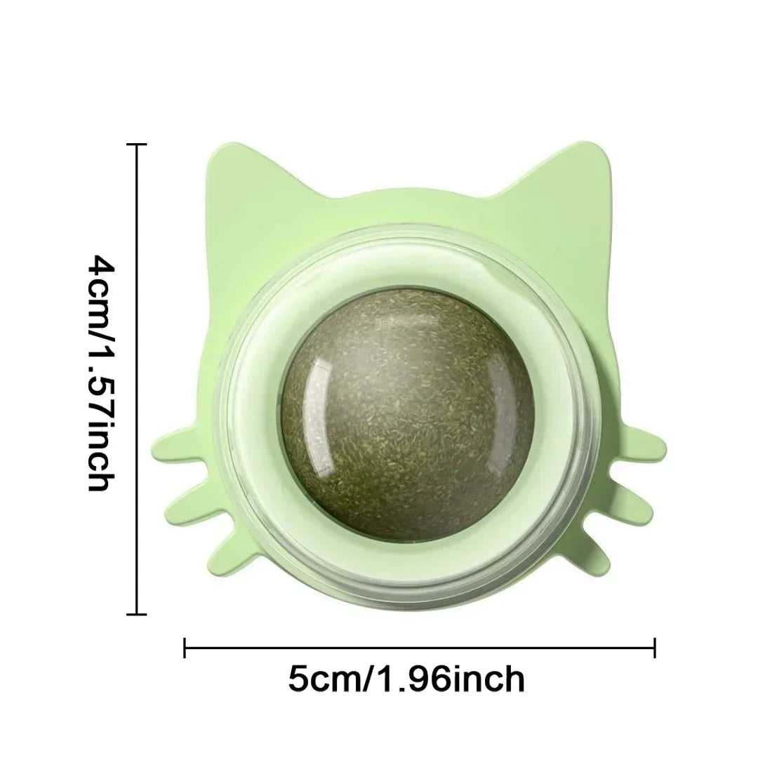 Spin & Purr Wall Ball