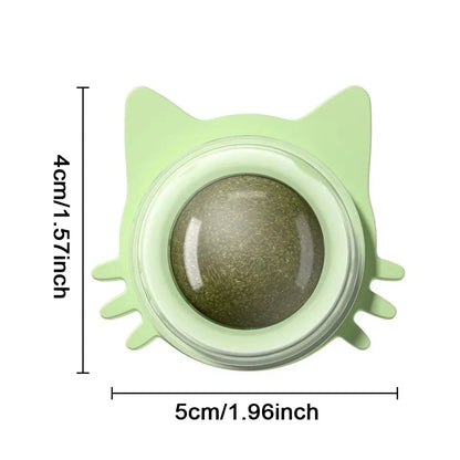 Spin & Purr Wall Ball